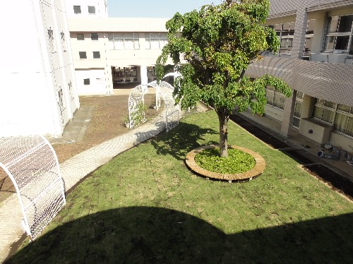 緑小学校(みどり しょうがっこう)の写真