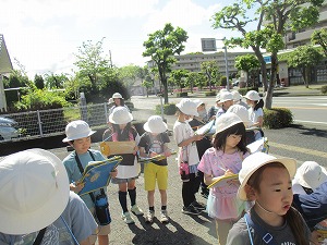 IMG_2334.jpg