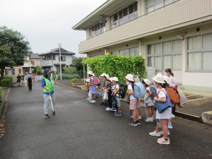IMG_4306.jpg