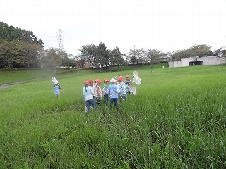 3年虫取り4