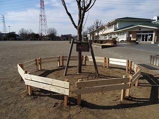 陽光桜1