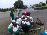 R7kadanharu1.jpg