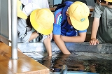 R8nakagawa6.jpg