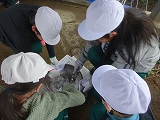 R8rinkai12.jpg