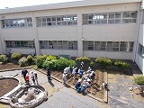 R8satumaue5.jpg