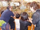 R8tanabata2.jpg