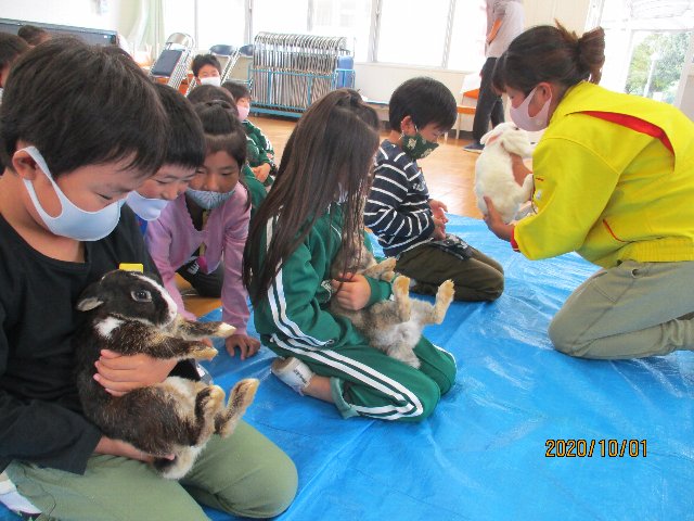 20201001usagi025.JPG