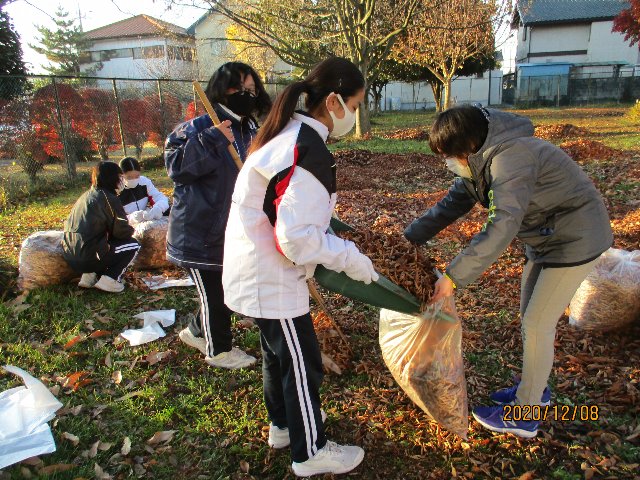 20201208satoyama001.JPG