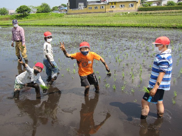 20220524taue016.jpg