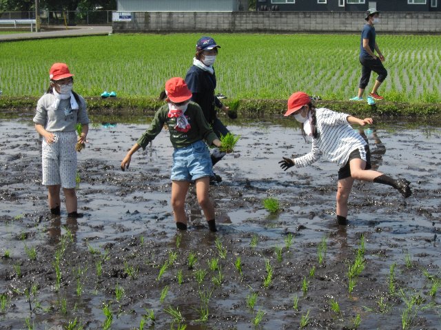 20220524taue036.jpg