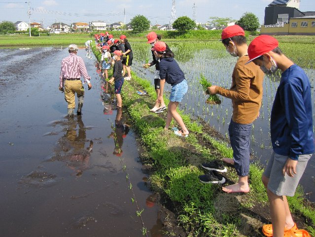 20220524taue058.jpg