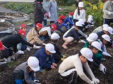 R7imohori2.jpg