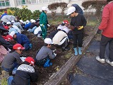 R7imohori3.jpg