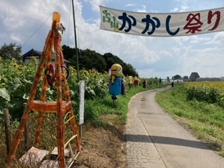 05ʎw