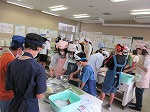IMG_0330.jpg