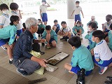 R70428tanemaki1.jpg