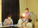 R70605shika3.jpg