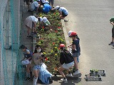 R70606hanaue5.jpg