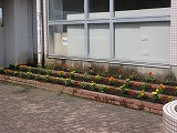 R70606hanaue9.jpg