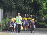 R70612koala1.jpg