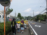 R70612koala3.jpg