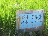 R70808tanbo1.jpg