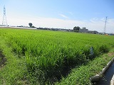 R70808tanbo2.jpg