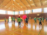 R80116kinball1.jpg