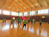 R80116kinball3.jpg