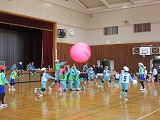R80129kinball14.jpg