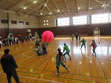 R80129kinball2.jpg