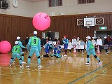 R80129kinball3.jpg