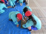 R80430tanemaki11.jpg
