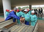 R80430tanemaki17.jpg