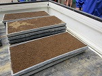 R80430tanemaki18.jpg
