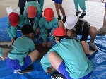 R80430tanemaki3.jpg