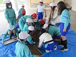 R80430tanemaki5.jpg