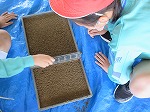R80430tanemaki7.jpg