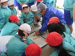 R80430tanemaki8.jpg