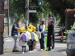 R80507kotuanzen7.jpg