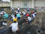R80512yasai10.jpg