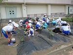 R80512yasai6.5.jpg