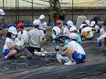 R80512yasai7.jpg