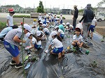R80512yasai9.jpg