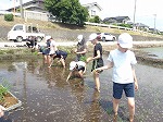 R80525taue10.jpg