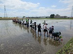 R80525taue13.jpg