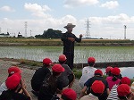 R80525taue3.jpg