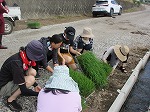 R80525taue5.jpg
