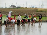 R80525taue7.jpg