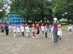 R80612koala1.jpg